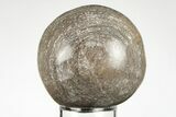 2.3" Polished Agatized Dinosaur (Gembone) Sphere - Morocco - #198498-1